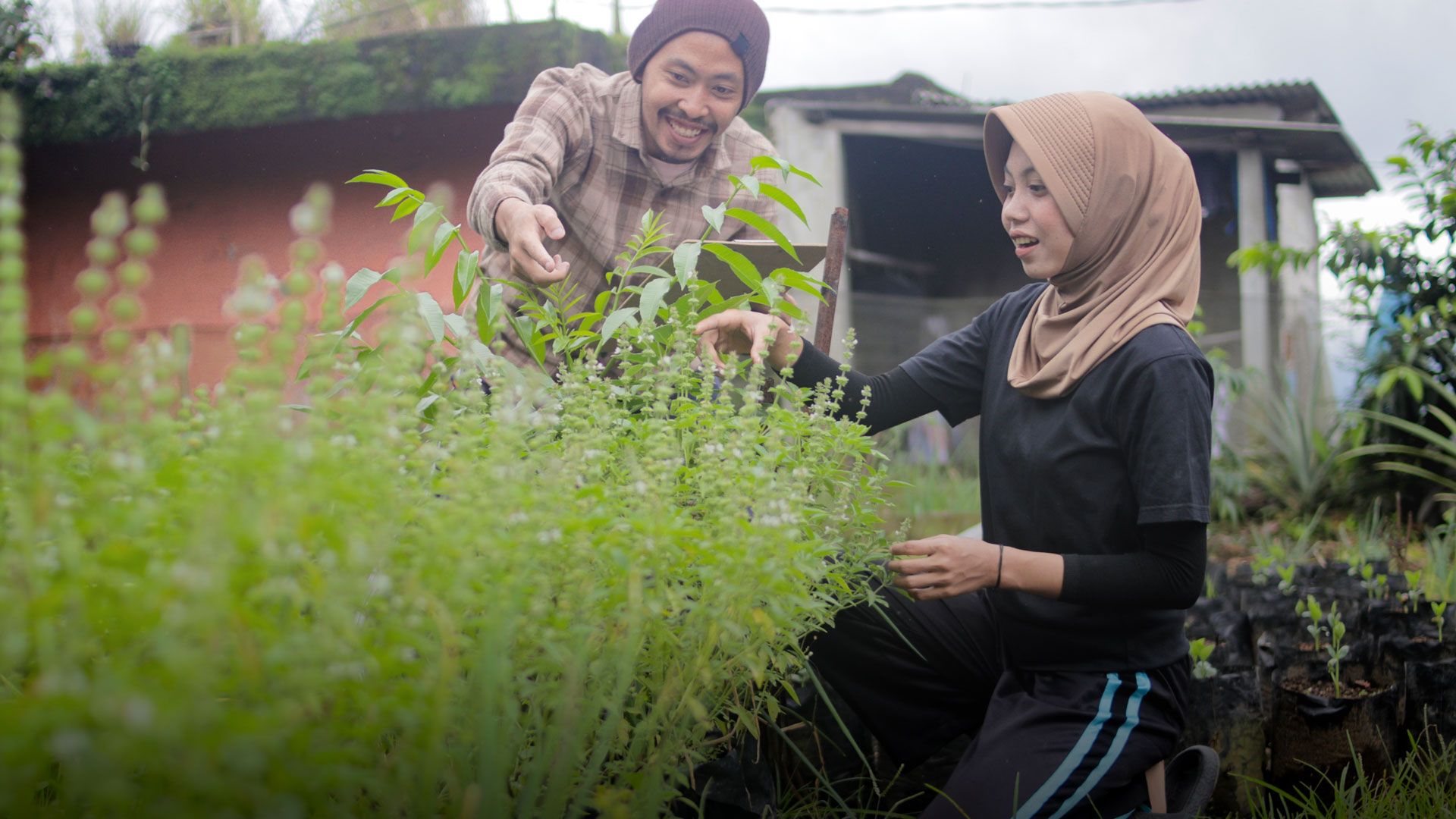 Environmental Sustainability